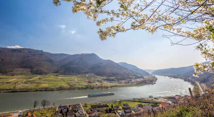 Mosel Wachau Flusskreuzfahrt