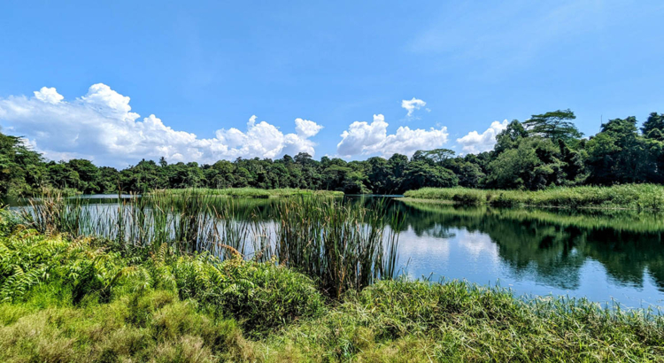 Pulau Ubin