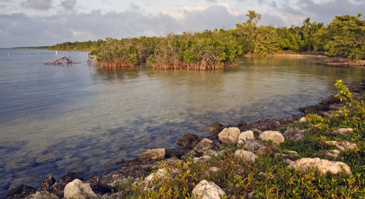 SA Biscayne National Park Florida Foto iStock Benkrut