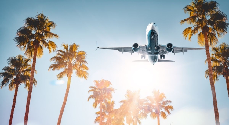 Reiselust Symbol Flugzeug Palmen Foto iStock Frankpeters