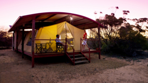 Australien Südaustralien Eyre Peninsula Kangaluna Camp Foto SATC Peter Fisher.jpg