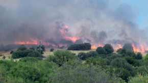 Waldbrand