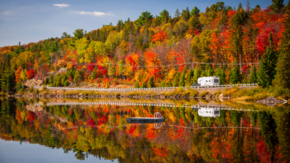 Kanada Wohnmobil Herbst buner Wald iStock Elenathewise.jpg