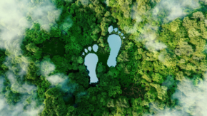 Klimaschutz Klimabewusst Reisen