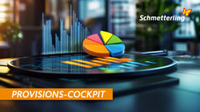 Provisions Cockpit Foto Schmetterling