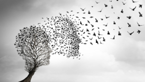 Trauer Todesfall Tod Foto iStock wildpixel