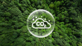 CO2 Klima Wald
