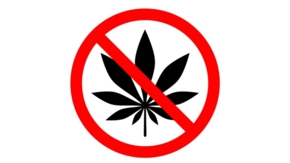 Cannabisverbot Cannabis Kiffen Foto iStock archivector