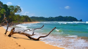 Panama Bastimentos Bocas del Toro Foto iStock Tunatura