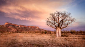 Australien Westaustralien Kimberleys iStock LHK Photography.jpg