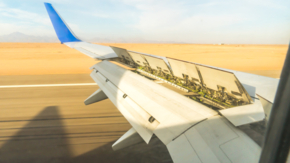 Flugzeug Flügel Landung Bremsklappen