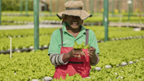 TUI Field to Fork Cape Verde