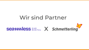 Schmetterling Seamless