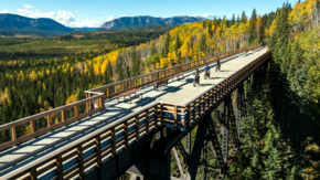 Kanada Alberta Nordegg Hinterland Foto Travel Alberta Peter O'Hara.jpg